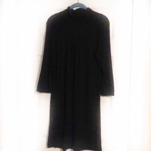 Banana Republic Long Sleeve Black Turtleneck Dress
